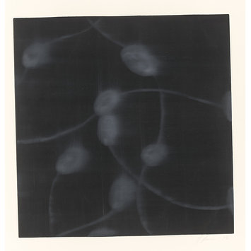 Print - Untitled Print - Untitled