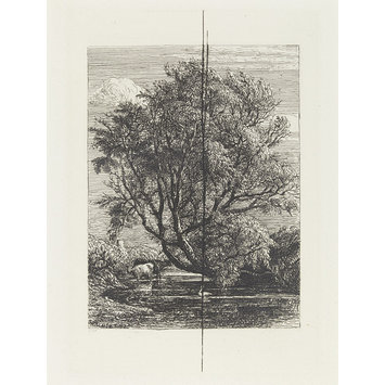 Etching - The Willow Etching - The Willow