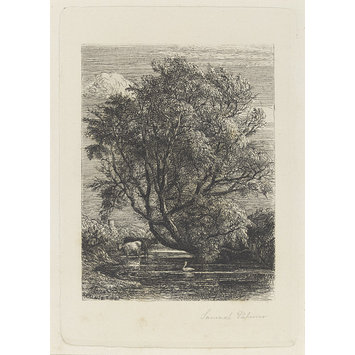 Print - The Willow Print - The Willow