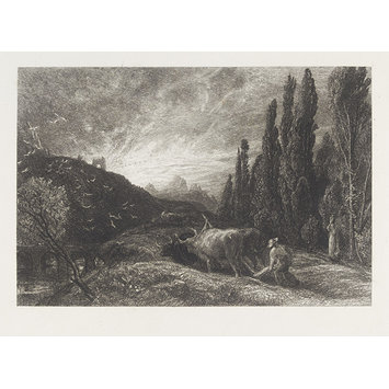 Etching - The Early Ploughman Etching - The Early Ploughman