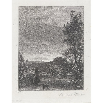 Print - The Skylark Print - The Skylark