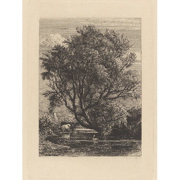 Etching - The Willow Etching - The Willow