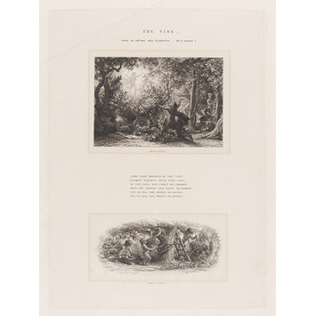 Etching - The Vine Etching - The Vine