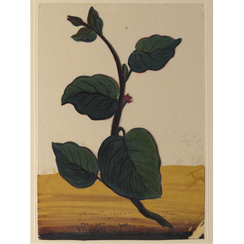 Painting - One of eighteen drawings of flowers. Painting - One of eighteen drawings of flowers.