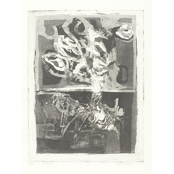 Print - Summer Print - Summer