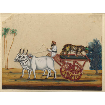 Painting - A bullock cart carrying a cheetah. Painting - A bullock cart carrying a cheetah.