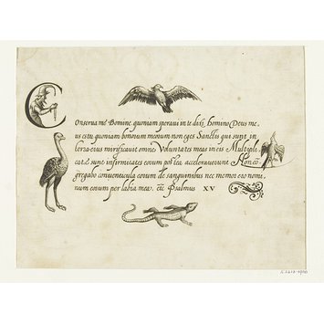 Print - Schöne zierliche Schrifften der lieben Jugend zu nützlichen vnterricht …. Durch Christophorium Fabium Brechteln Rechenmaistern an Tage geben und durch Heinrich Ulrichen Kunstestechern daselbst Kupffer gebracht Print - Schöne zierliche Schrifften der lieben Jugend zu nützlichen vnterricht …. Durch Christophorium Fabium Brechteln Rechenmaistern an Tage geben und durch Heinrich Ulrichen Kunstestechern daselbst Kupffer gebracht