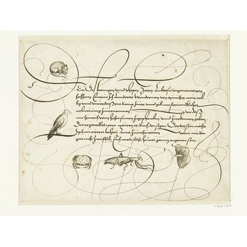 Print - Schöne zierliche Schrifften der lieben Jugend zu nützlichen vnterricht …. Durch Christophorium Fabium Brechteln Rechenmaistern an Tage geben und durch Heinrich Ulrichen Kunstestechern daselbst Kupffer gebracht Print - Schöne zierliche Schrifften der lieben Jugend zu nützlichen vnterricht …. Durch Christophorium Fabium Brechteln Rechenmaistern an Tage geben und durch Heinrich Ulrichen Kunstestechern daselbst Kupffer gebracht