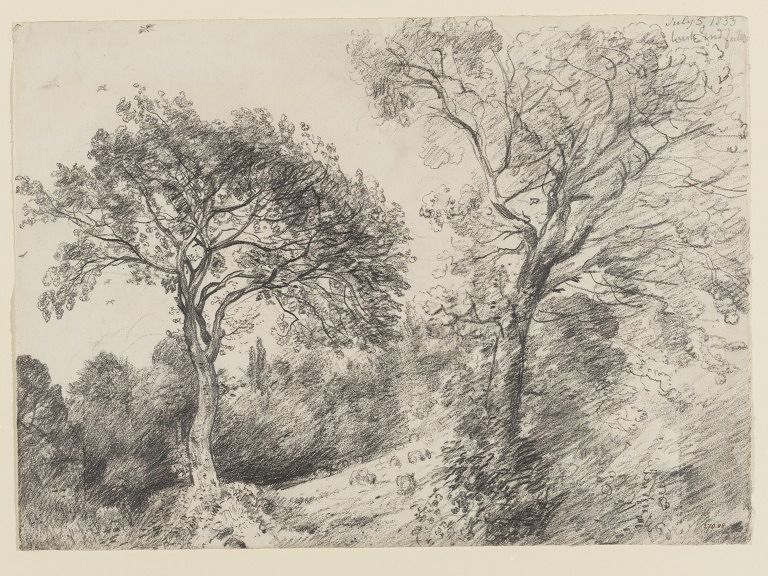 Trees in West End Fields Hampstead Constable John RA 