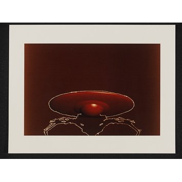 Photograph - Red Saucer Photograph - Red Saucer