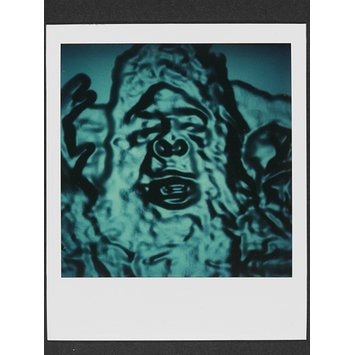 Photograph - Gorilla Photograph - Gorilla