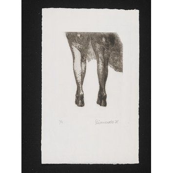 Print - Legs Print - Legs