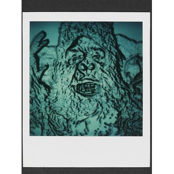 Photograph - Gorilla Photograph - Gorilla