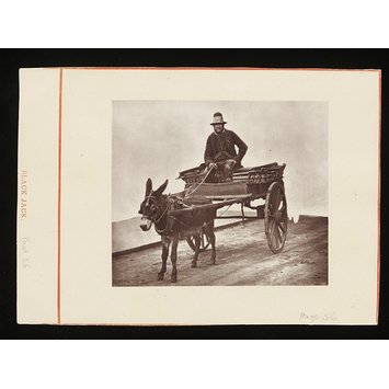 Photograph - Black Jack Photograph - Black Jack