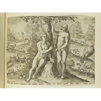 Print - Eve tempting Adam Print - Eve tempting Adam