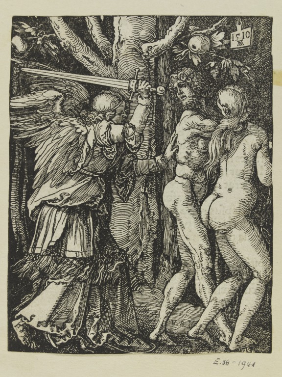 Image result for durer adam and eve