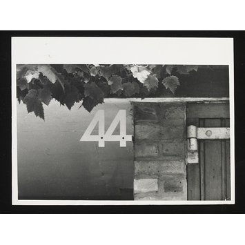 Photograph - Street Level Photograph - Street Level