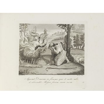 Print - Raccolta di Cinqantadue Quadretti Dipinti a Fresco da Raffaelle Sanzio d'Urbino nelle Volte della Galleria del Vaticano. Roma, 1820 Print - Raccolta di Cinqantadue Quadretti Dipinti a Fresco da Raffaelle Sanzio d'Urbino nelle Volte della Galleria del Vaticano. Roma, 1820
