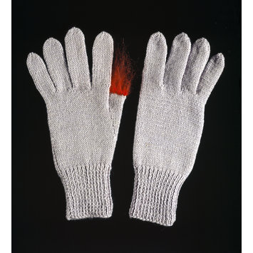 Pair of gloves Pair of gloves