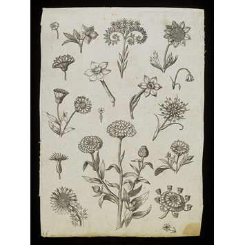Print - Florilegium Print - Florilegium