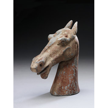 Head of horse Head of horse