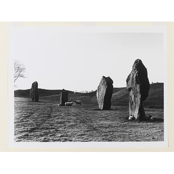 Photograph - Ridgeway: Avebury, sunrise with sheep Photograph - Ridgeway: Avebury, sunrise with sheep