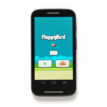 Mobile application - Flappy Bird Mobile application - Flappy Bird