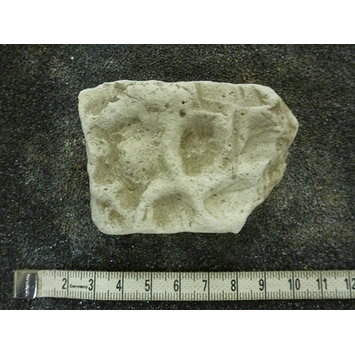Architecture ornament fragment Architecture ornament fragment