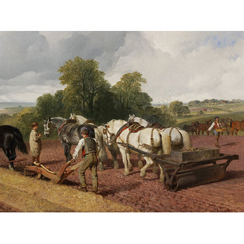 Oil painting - Seed Time Oil painting - Seed Time