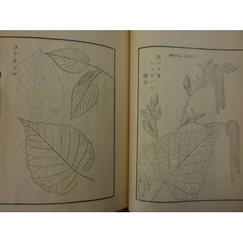 Book - Nippon Sambutsushi Book - Nippon Sambutsushi