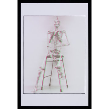Print - Skeleton Print - Skeleton