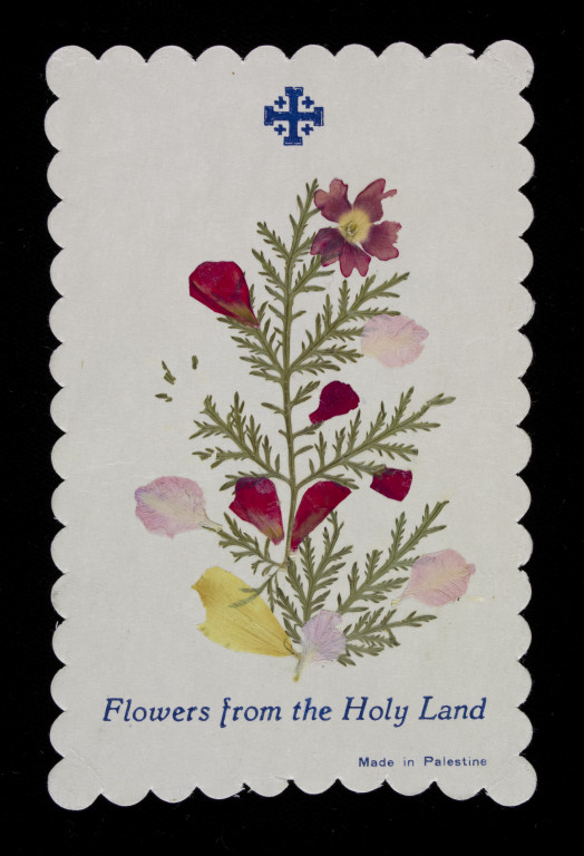 Flowers from the Holy Land (Greeting card) V&A Search the Collections