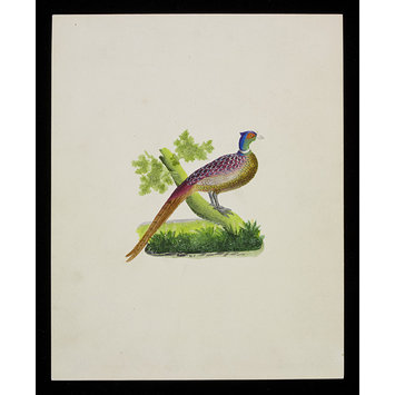 Greeting card Greeting card