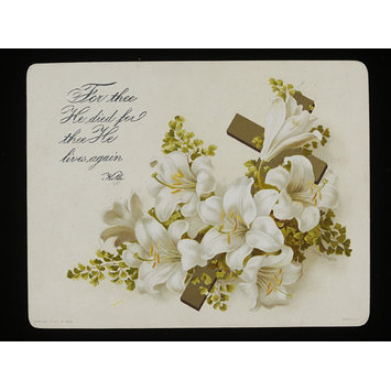 Greetings card Greetings card