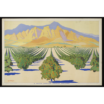 Poster - A South African Orange Orchard Poster - A South African Orange Orchard