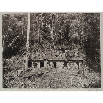 photograph photograph