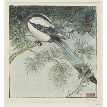 Woodcut - Magpie Woodcut - Magpie
