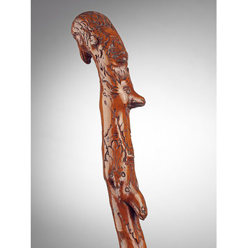 Walking stick Walking stick