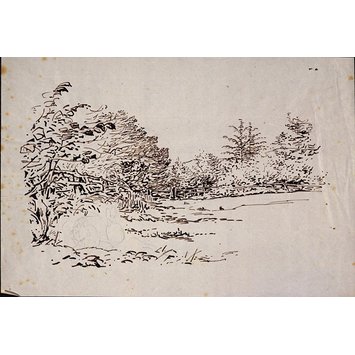 drawing - A field bordered by trees, with a rough sketch of rabbits drawing - A field bordered by trees, with a rough sketch of rabbits