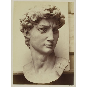 Photograph - Cast of the head of Michelangelo's David in the Accademia di Belle Arte, Florence Photograph - Cast of the head of Michelangelo's David in the Accademia di Belle Arte, Florence