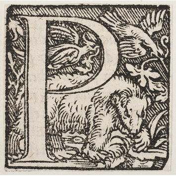 Print Print