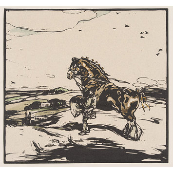 Print - The shire horse Print - The shire horse