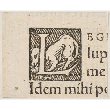 Print Print