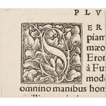 Print Print