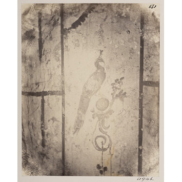 Photograph - Catacombs - Painting of a Peacock in the Jews' Catacomb, A.D. 150, in the Vigna Randanini Photograph - Catacombs - Painting of a Peacock in the Jews' Catacomb, A.D. 150, in the Vigna Randanini