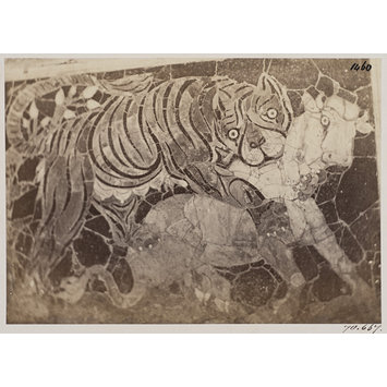 Photograph - Mosaic or incised marble picture, c. A.D. 100(?) - A Tiger upon the back of a Calf, (now in the Church of S. Antonio Abbate) Photograph - Mosaic or incised marble picture, c. A.D. 100(?) - A Tiger upon the back of a Calf, (now in the Church of S. Antonio Abbate)