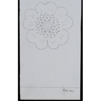 Design for a damask Design for a damask