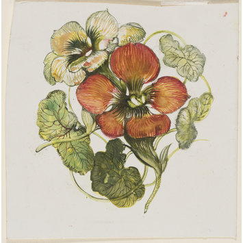 Design - 'Nasturtium' range by Susie Cooper Pottery Design - 'Nasturtium' range by Susie Cooper Pottery