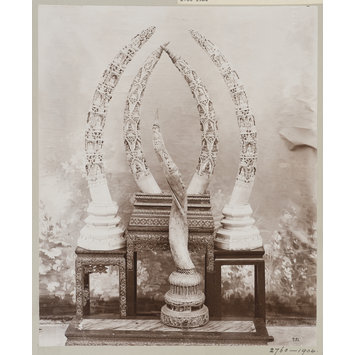 photograph photograph