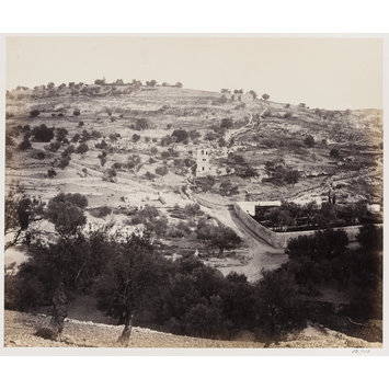 Photograph - Garden of Gethsemane, Jerusalem Photograph - Garden of Gethsemane, Jerusalem